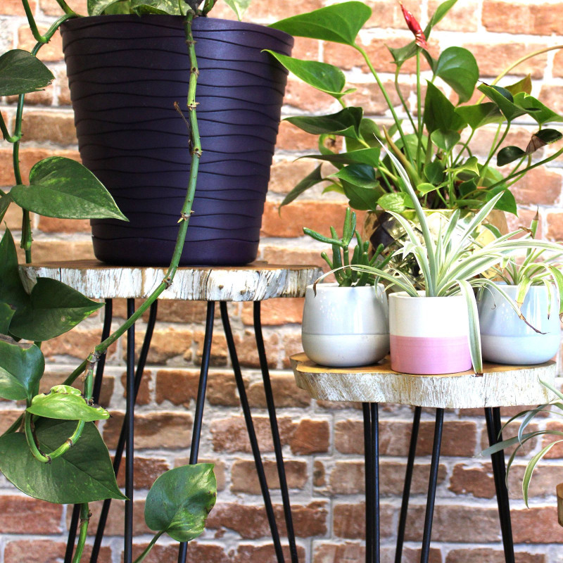 Lot de 3 supports à plantes en bois Gamell - Blanchi à la chaux