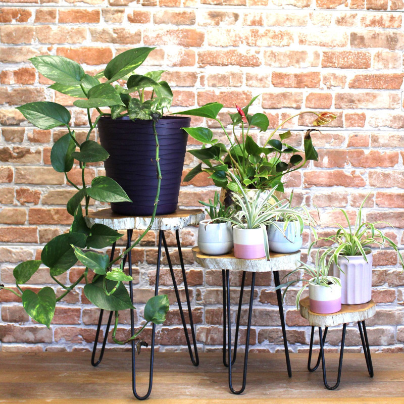 Lot de 3 supports à plantes en bois Gamell - Blanchi à la chaux