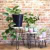 Lot de 3 supports à plantes en bois Gamell - Blanchi à la chaux