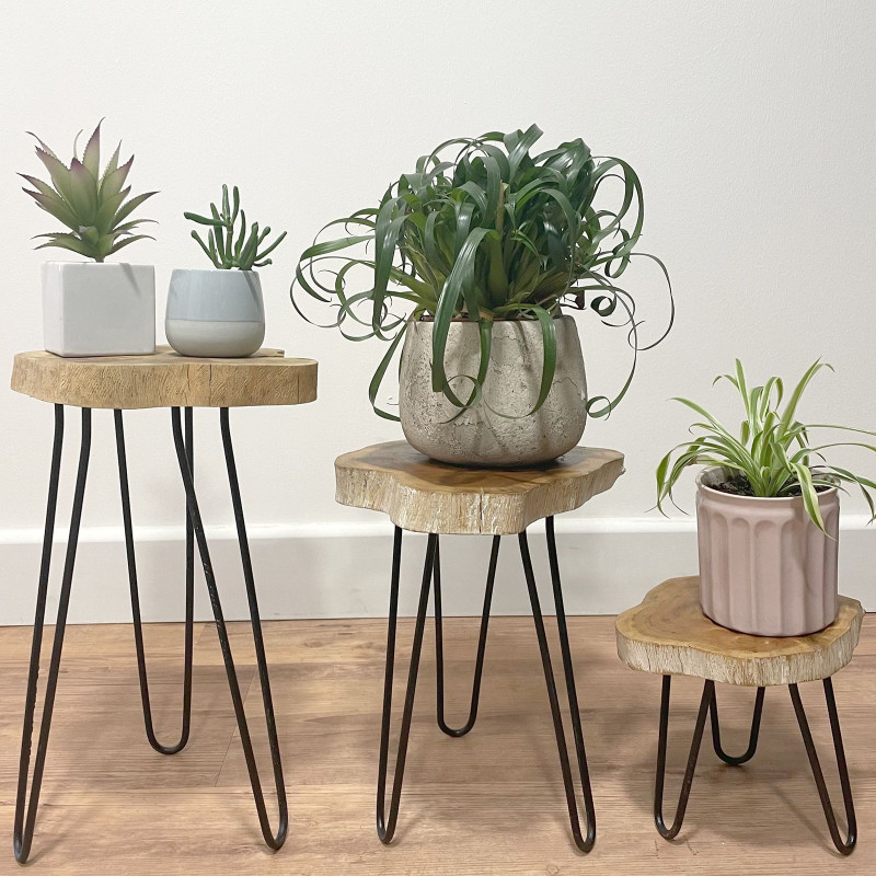 Lot de 3 supports à plantes en bois Gamell - Blanchi à la chaux
