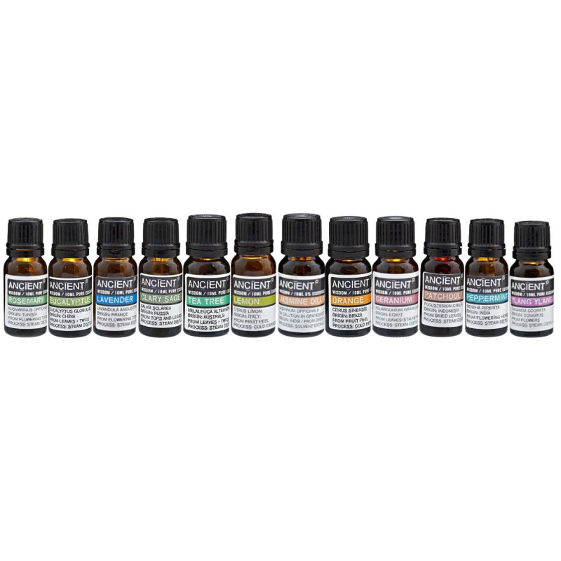 Coffret d'aromathérapie Top 12 (Boîte de 12 Huiles)