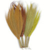 Set 4 - Balai long Pampus - Couleurs naturelles