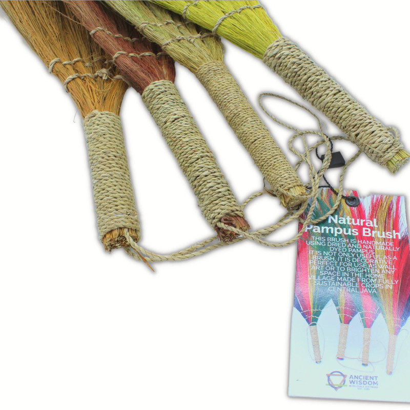 Set 4 - Balai long Pampus - Couleurs naturelles