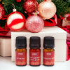Coffret de parfums Holy Scents of Christmas