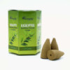 Lot de 10 encens Masala Backflow - Eucalyptus