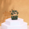 Mini arbres en pierres précieuses sur base en orgonite et Aventurine verte (15 pierres)