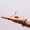 Mini arbres en pierres précieuses sur socle en bois et Quartz rose (15 pierres)