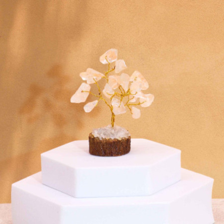 Mini arbres en pierres précieuses sur socle en bois et Quartz rocheux (15 pierres)