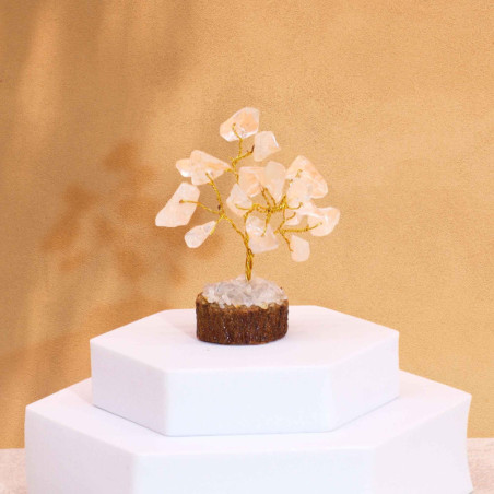 Mini arbres en pierres précieuses sur socle en bois et Quartz rocheux (15 pierres)