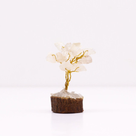 Mini arbres en pierres précieuses sur socle en bois et Quartz rocheux (15 pierres)