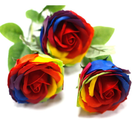 Fleur de savon de luxe - Arc-en-ciel