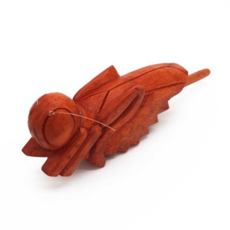 Sauterelle en bois qui gazouille