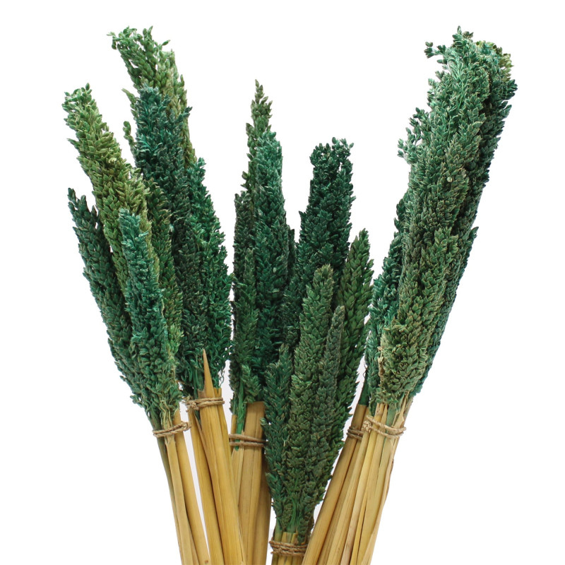 Bouquet d'herbe du Cantal - Sarcelle