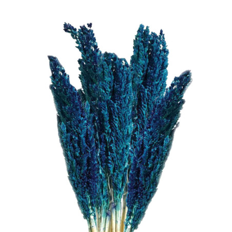 Bouquet d'herbe du Cantal - Bleu