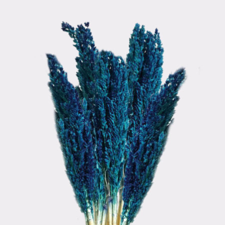 Bouquet d'herbe du Cantal - Bleu