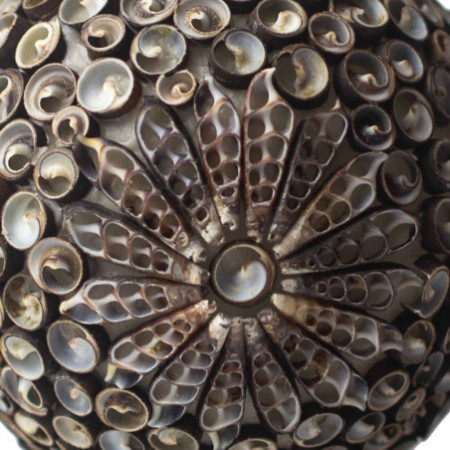 Lampe coquillage Boho - Ovale torsadé chocolat - 15 cm