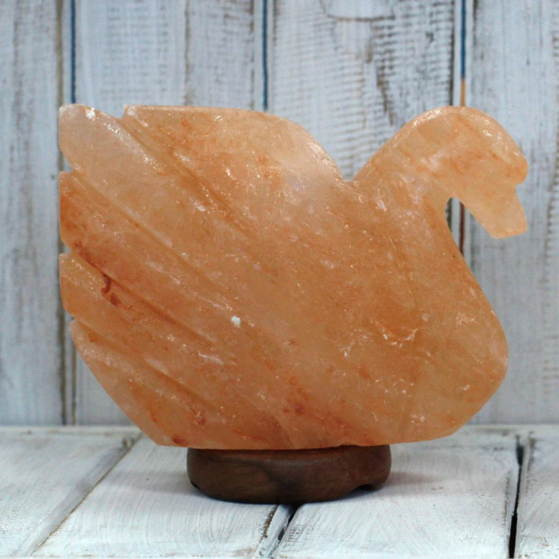 Forme de la figure - Cygne 3x5x7 pouces