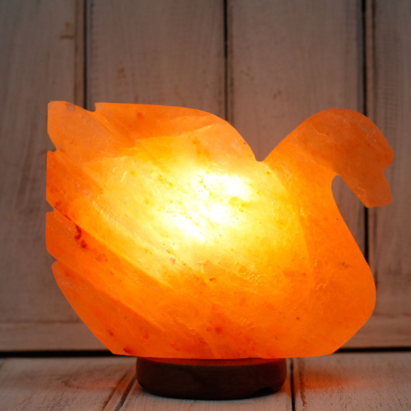 Forme de la figure - Cygne 3x5x7 pouces