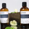 Hydrolat de menthe poivrée 100 ml