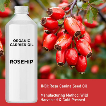 Huile de rose musquée biologique 1 litre