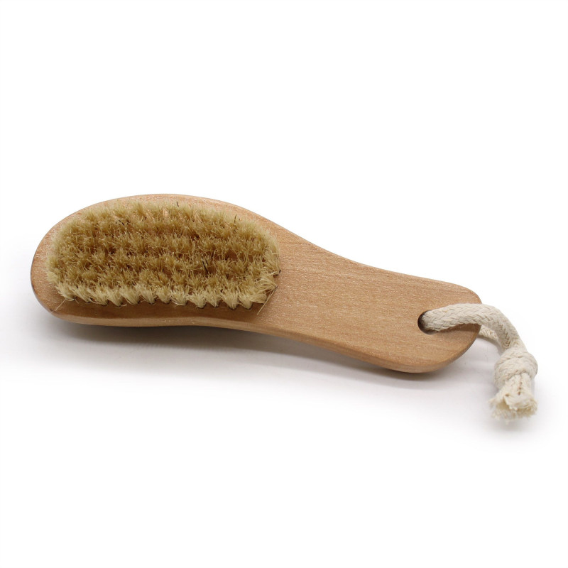 Brosse à dos en pierre ponce