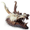 Tête de dragon grandeur nature sculptée - 30 cm