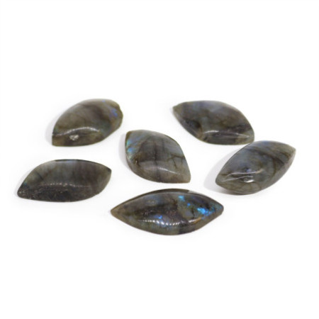 Pierres de feuilles de labradorite de Madagascar (environ 13-20 g 40-50 mm)