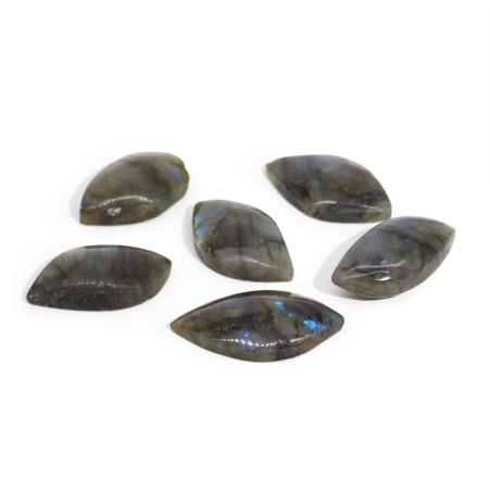 Pierres de feuilles de labradorite de Madagascar (environ 13-20 g 40-50 mm)