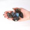 Pierres de feuilles de labradorite de Madagascar (environ 13-20 g 40-50 mm)