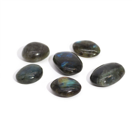 Pierres de palmier en labradorite de Madagascar (environ 17 à 40 g, 35 à 50 mm)