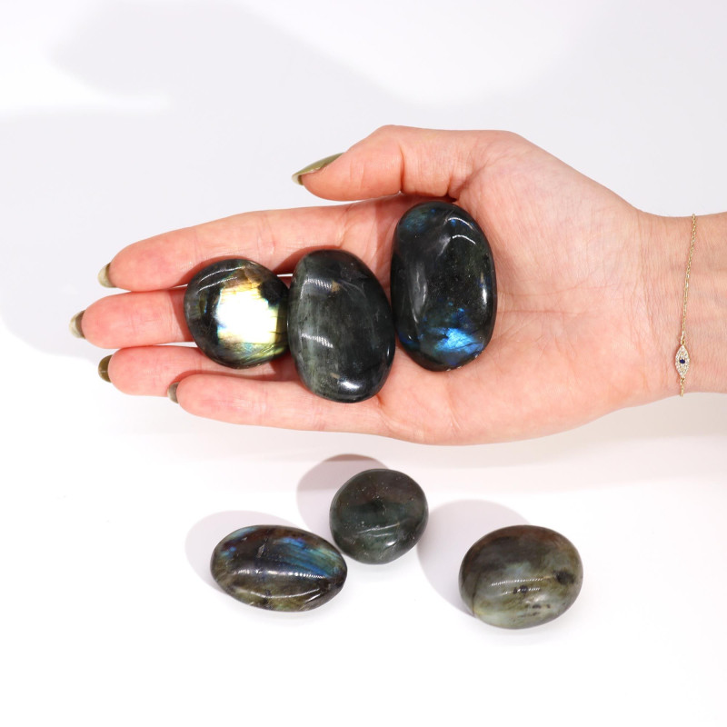 Pierres de palmier en labradorite de Madagascar (environ 17 à 40 g, 35 à 50 mm)