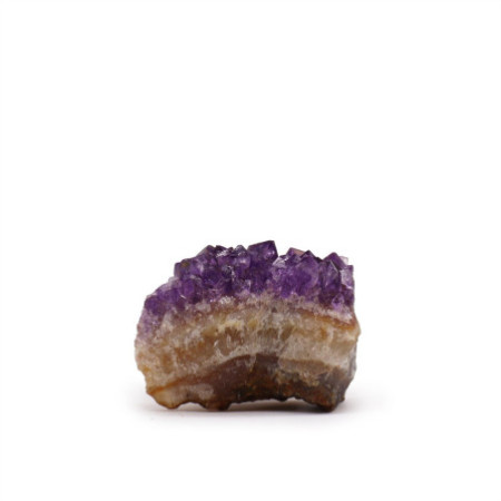 Petite grappe d'améthyste naturelle de haute qualité (environ 3 à 8 cm)