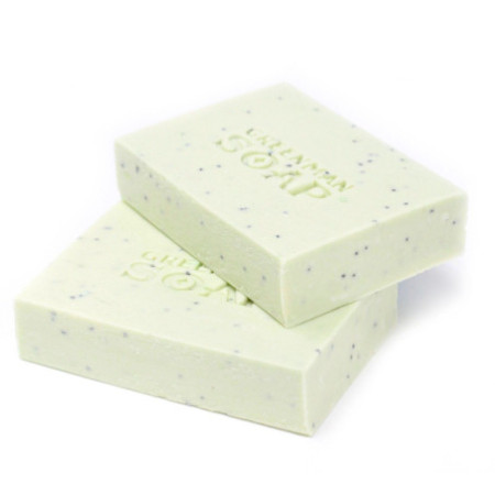 Savon Greenman 100 g - Antiseptique pour les taches