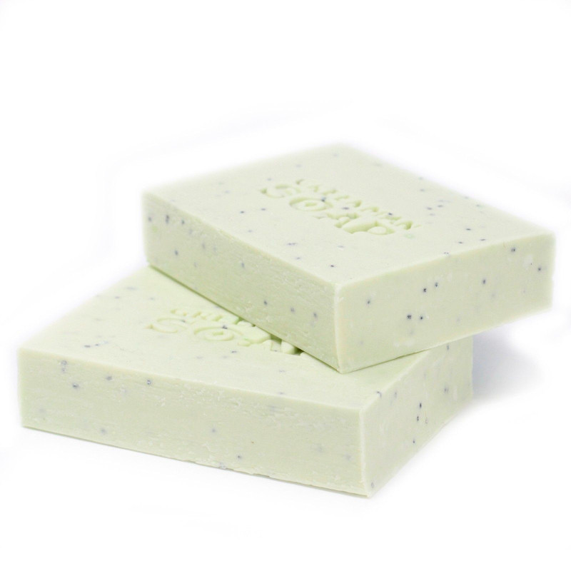 Savon Greenman 100 g - Antiseptique pour les taches