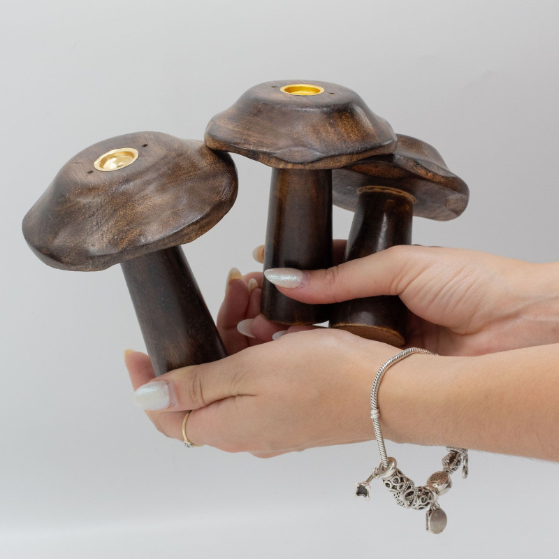 Lot de 3 cônes d'encens plats Champignons (13 cm 12 cm 11 cm)