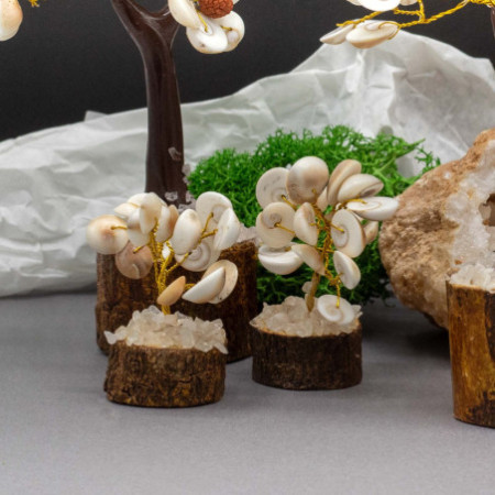Petits arbres de pierres de cercle de chakra Gomati (15 pierres)
