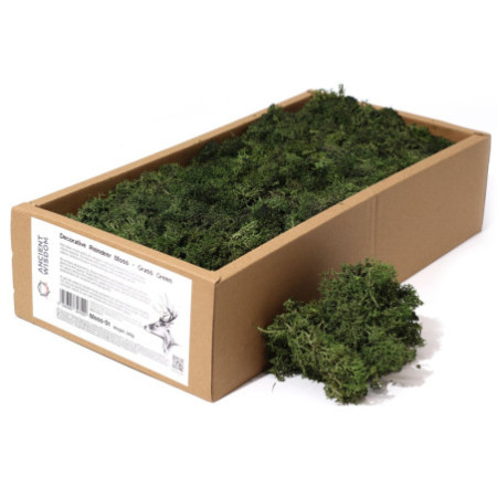 Mousse de renne décorative de qualité - Vert gazon - Boîte de 635 g