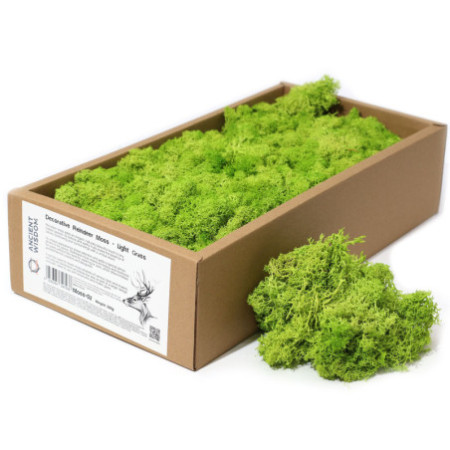 Mousse de renne décorative de qualité - Herbe claire - Boîte de 635 g