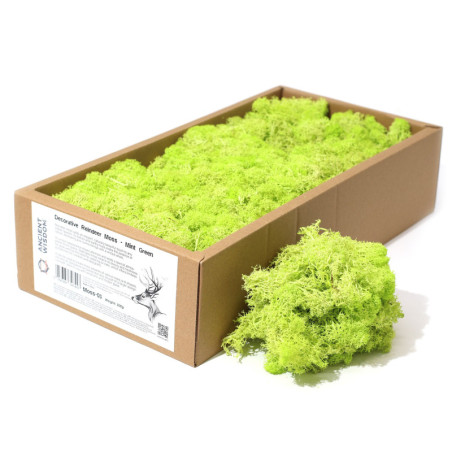 Mousse de renne décorative de qualité - Vert menthe - Boîte de 635 g
