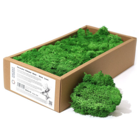 Mousse de renne décorative de qualité - Vert mousse - Boîte de 635 g