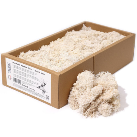 Mousse de renne décorative de qualité - Ambiance naturelle - Boîte de 635 g