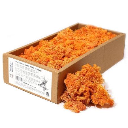 Mousse de renne décorative de qualité - Orange - Boîte de 635 g