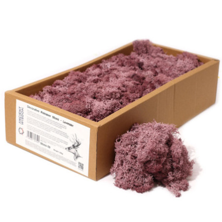 Mousse de renne décorative de qualité - Lavande - Boîte de 635 g