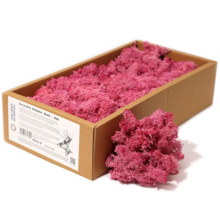 Mousse de renne décorative de qualité - Rose - Boîte de 635 g