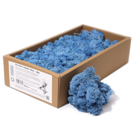 Mousse de renne décorative de qualité - Bleu - Boîte de 635 g