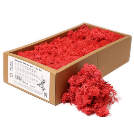 Mousse de renne décorative de qualité - Rouge feu - Boîte de 635 g