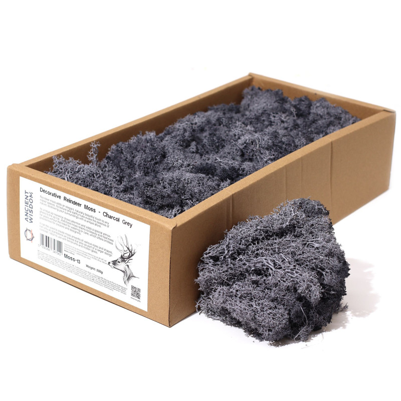 Mousse de renne décorative de qualité - Gris anthracite - Boîte de 635 g