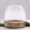 Petit Terrarium en Bois de Tung Naturel - 13x13cm