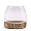 Petit Terrarium en Bois de Tung Naturel - 13x13cm