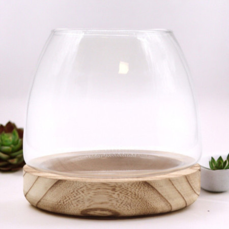 Terrarium moyen en bois de tung naturel - 15x15cm